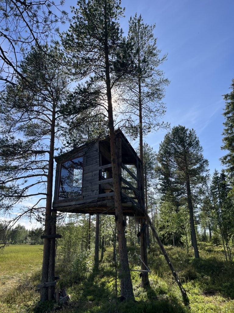Puumaja Metsä Kolossa.